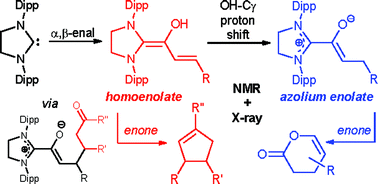 Graphical abstract: Carbene catalyzed umpolung of α,β-enals: a reactivity study of diamino dienols vs. azolium enolates, and the characterization of advanced reaction intermediates