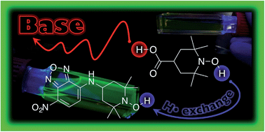 Graphical abstract: Experimental demonstration of pH-dependent electrostatic catalysis of radical reactions