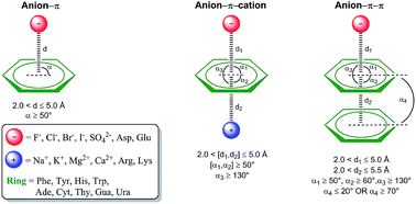 Graphical abstract: A thorough anion–π interaction study in biomolecules: on the importance of cooperativity effects
