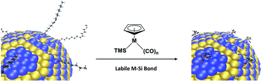 Graphical abstract: Chemically directing d-block heterometallics to nanocrystal surfaces as molecular beacons of surface structure