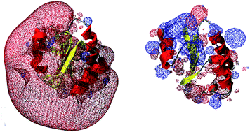 Graphical abstract: The specificity of thioredoxins and glutaredoxins is determined by electrostatic and geometric complementarity