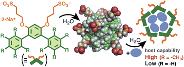 Graphical abstract: Well-defined aqueous nanoassemblies from amphiphilic meta-terphenyls and their guest incorporation