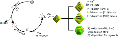 Graphical abstract: Redox reaction induced Ostwald ripening for size- and shape-focusing of palladium nanocrystals