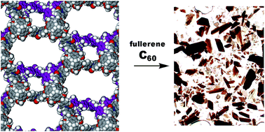 Graphical abstract: Copper coordination polymers from cavitand ligands: hierarchical spaces from cage and capsule motifs, and other topologies