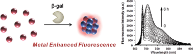 Graphical abstract: An enzyme-responsive metal-enhanced near-infrared fluorescence sensor based on functionalized gold nanoparticles