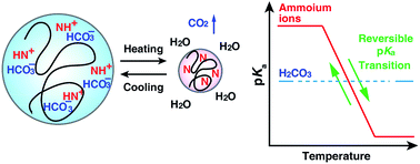 Graphical abstract: Design rationale of thermally responsive microgel particle films that reversibly absorb large amounts of CO2: fine tuning the pKa of ammonium ions in the particles