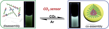 Graphical abstract: A recyclable polyoxometalate-based supramolecular chemosensor for efficient detection of carbon dioxide