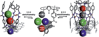 Graphical abstract: Ordered co-encapsulation of chloride with polar neutral guests in a tetraurea calix[4]pyrrole dimeric capsule