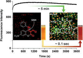 Graphical abstract: Exceptional time response, stability and selectivity in doubly-activated phenyl selenium-based glutathione-selective platform