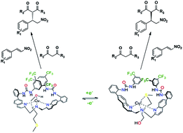 Graphical abstract: Redox-configurable ambidextrous catalysis: structural and mechanistic insight