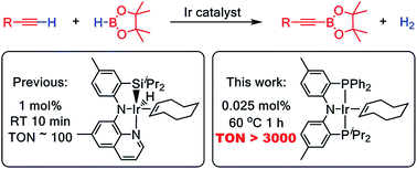 Graphical abstract: Ligand survey results in identification of PNP pincer complexes of iridium as long-lived and chemoselective catalysts for dehydrogenative borylation of terminal alkynes