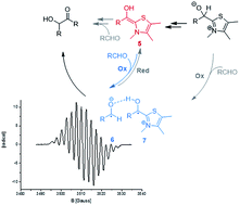 Graphical abstract: NHC-catalysed benzoin condensation – is it all down to the Breslow intermediate?