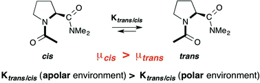 Graphical abstract: Importance of dipole moments and ambient polarity for the conformation of Xaa–Pro moieties – a combined experimental and theoretical study