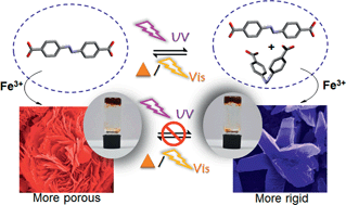 Graphical abstract: Light driven mesoscale assembly of a coordination polymeric gelator into flowers and stars with distinct properties