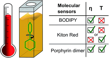 Graphical abstract: Unravelling the effect of temperature on viscosity-sensitive fluorescent molecular rotors