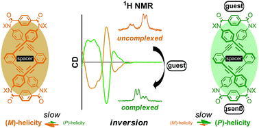 Graphical abstract: Controllability of dynamic double helices: quantitative analysis of the inversion of a screw-sense preference upon complexation