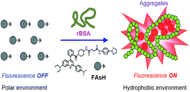 Graphical abstract: Development of a red fluorescent light-up probe for highly selective and sensitive detection of vicinal dithiol-containing proteins in living cells