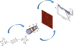 Graphical abstract: Naphthalenebisimides as photofunctional surfactants for SWCNTs – towards water-soluble electron donor–acceptor hybrids