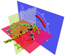 Graphical abstract: The true nature of rotary movements in rotaxanes