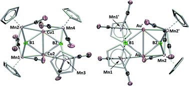 Graphical abstract: Trimetallaborides as starting points for the syntheses of large metal-rich molecular borides and clusters