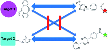 Graphical abstract: Discovery of new mutually orthogonal bioorthogonal cycloaddition pairs through computational screening