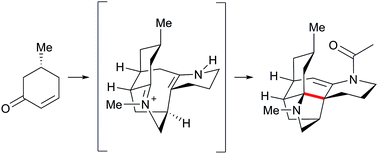 Graphical abstract: Concise synthesis of (+)-fastigiatine