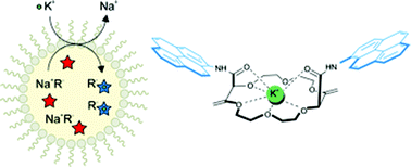 Graphical abstract: Potassium ion-selective fluorescent and pH independent nanosensors based on functionalized polyether macrocycles