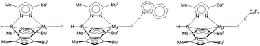 Graphical abstract: Synthesis, structure and reactivity of a terminal magnesium fluoride compound, [TpBut,Me]MgF: hydrogen bonding, halogen bonding and C–F bond formation