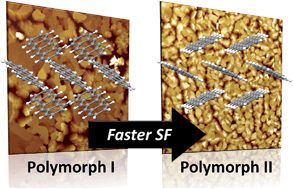 Graphical abstract: Polymorphism influences singlet fission rates in tetracene thin films