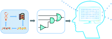 Graphical abstract: A RET-supported logic gate combinatorial library to enable modeling and implementation of intelligent logic functions