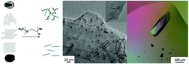 Graphical abstract: Reductively PEGylated carbon nanomaterials and their use to nucleate 3D protein crystals: a comparison of dimensionality