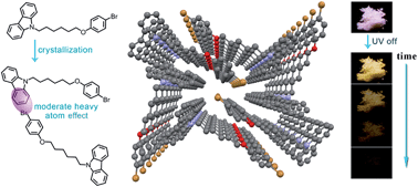 Graphical abstract: Bright persistent luminescence from pure organic molecules through a moderate intermolecular heavy atom effect