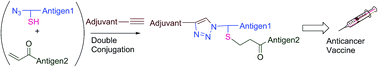 Graphical abstract: Double conjugation strategy to incorporate lipid adjuvants into multiantigenic vaccines
