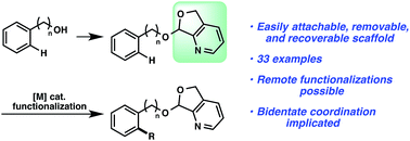 Graphical abstract: The design of a readily attachable and cleavable molecular scaffold for ortho-selective C–H alkenylation of arene alcohols