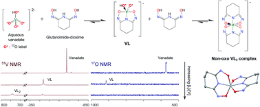 Graphical abstract: Structural and spectroscopic studies of a rare non-oxido V(v) complex crystallized from aqueous solution