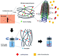 Graphical abstract: A novel probe based on phenylboronic acid functionalized carbon nanotubes for ultrasensitive carbohydrate determination in biofluids and semi-solid biotissues