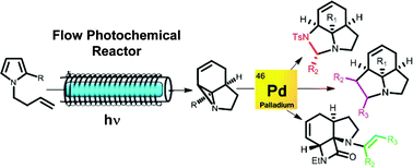 Graphical abstract: Combining photochemistry and catalysis: rapid access to sp3 – rich polyheterocycles from simple pyrroles