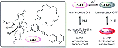 Graphical abstract: A smart “off–on” gate for the in situ detection of hydrogen sulphide with Cu(ii)-assisted europium emission