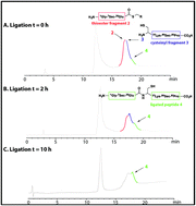 Graphical abstract: Synthesis and activity of a diselenide bond mimetic of the antimicrobial protein caenopore-5