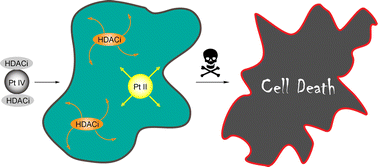 Graphical abstract: Pt(iv) derivatives of cisplatin and oxaliplatin with phenylbutyrate axial ligands are potent cytotoxic agents that act by several mechanisms of action