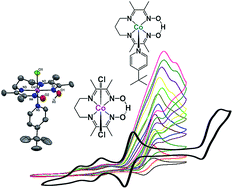 Graphical abstract: Evaluation of the coordination preferences and catalytic pathways of heteroaxial cobalt oximes towards hydrogen generation