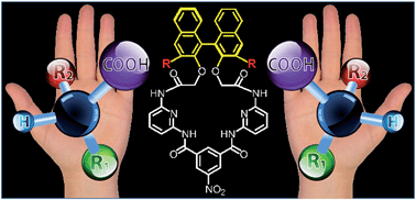 Graphical abstract: Determination of enantiomeric excess of carboxylates by fluorescent macrocyclic sensors