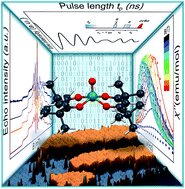 Graphical abstract: Quantum coherence in a processable vanadyl complex: new tools for the search of molecular spin qubits