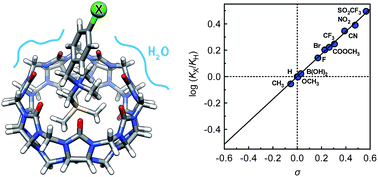 Graphical abstract: Water vs. cucurbituril rim: a fierce competition for guest solvation