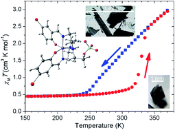 Graphical abstract: Dynamic spin interchange in a tridentate Fe(iii) Schiff-base compound