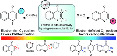 Graphical abstract: Unraveling innate substrate control in site-selective palladium-catalyzed C–H heterocycle functionalization