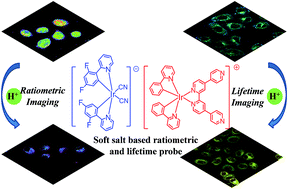 Graphical abstract: Phosphorescent soft salt for ratiometric and lifetime imaging of intracellular pH variations