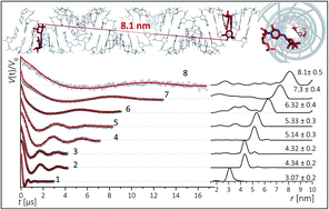 Graphical abstract: High-resolution measurement of long-range distances in RNA: pulse EPR spectroscopy with TEMPO-labeled nucleotides