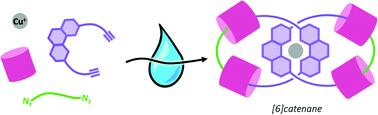 Graphical abstract: Facile syntheses of [3]-, [4]- and [6]catenanes templated by orthogonal supramolecular interactions