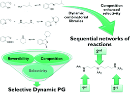 Graphical abstract: Competition-driven selection in covalent dynamic networks and implementation in organic reactional selectivity